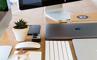  pp黄金富矿转化：从资源到盈利的关键突破点（pp黄金富矿转化）